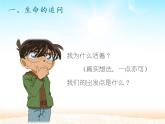 部编版道德与法治七年级上册 1 0.1  感受生命的意义_(1)（课件）