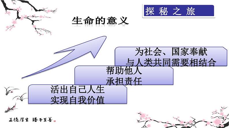 部编版道德与法治七年级上册 1 0.1  感受生命的意义(3)（课件）第3页