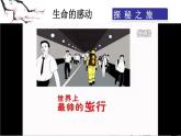 部编版道德与法治七年级上册 1 0.1  感受生命的意义(3)（课件）