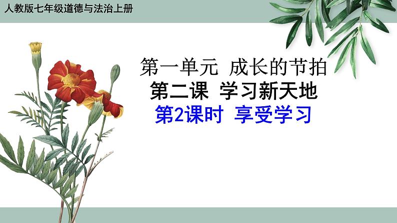 部编版道德与法治七年级上册 2 .2 享受学习（课件）01