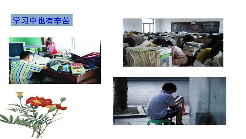 部编版道德与法治七年级上册 2 .2 享受学习（课件）07