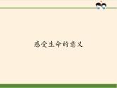 部编版道德与法治七年级上册 1 0.1   感受生命的意义（课件）
