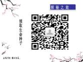 部编版道德与法治七年级上册 1 0.1  感受生命的意义(4)（课件）