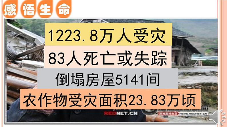 部编版道德与法治七年级上册 8 .2  敬畏生命(9)（课件）第3页