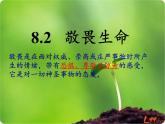 部编版道德与法治七年级上册 8 .2  敬畏生命(43)（课件）