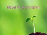 部编版道德与法治七年级上册 9 .2 增强生命的韧性(6)（课件）