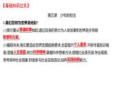 2022年广东省深圳市中考道德与法治一轮复习课件：走向未来的少年