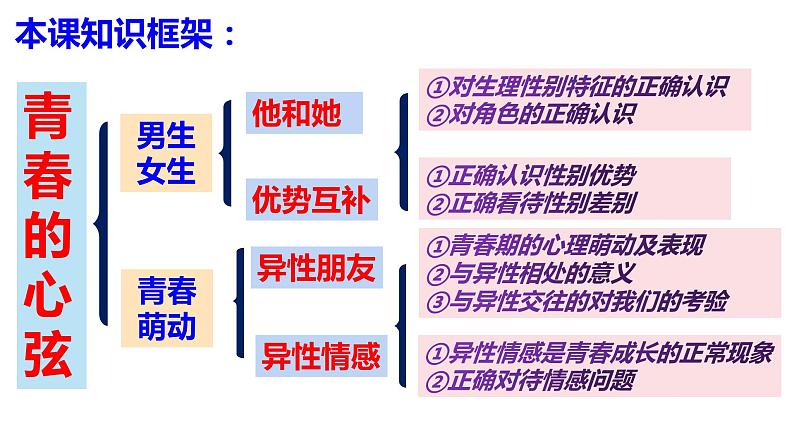 第二课 青春的心弦-2021-2022学年七年级道德与法治下册按课复习课件第2页