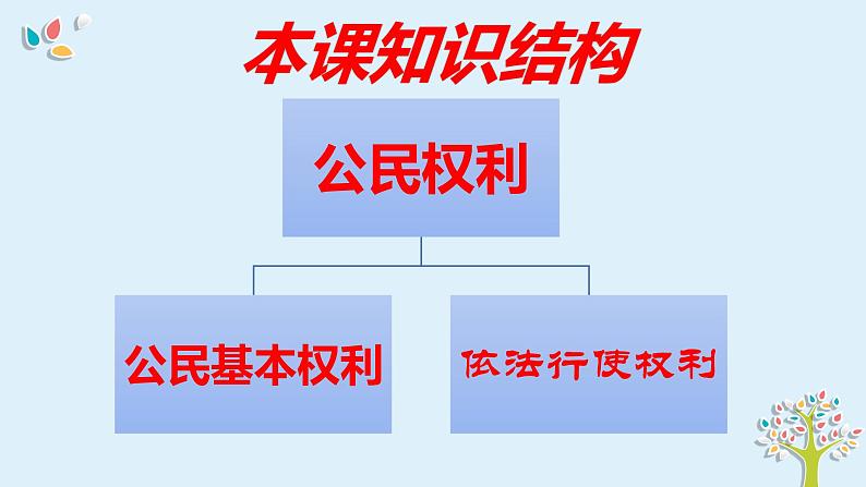 第三课  公民权利-2021-2022学年八年级道德与法治下册按课复习课件02