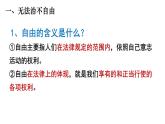 7.1 自由平等的真谛 课件-2021-2022学年部编版道德与法治八年级下册