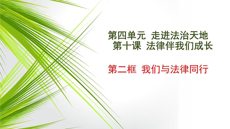 10-2我们与法律同行课件部编版道德与法治七年级下册第1页
