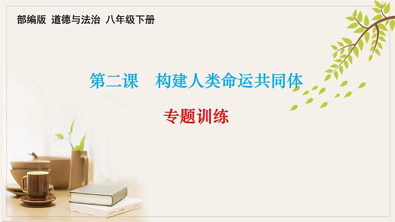 第二课构建人类命运共同体训练课件部编版道德与法治九年级下册01