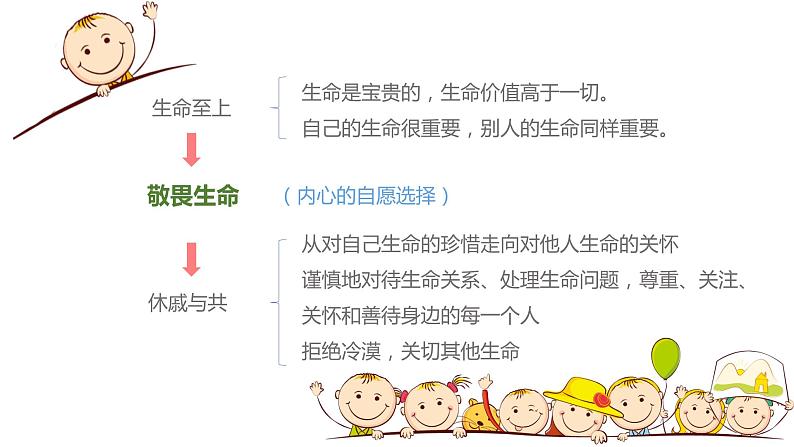 9.1 珍视生命守护生命课件PPT02