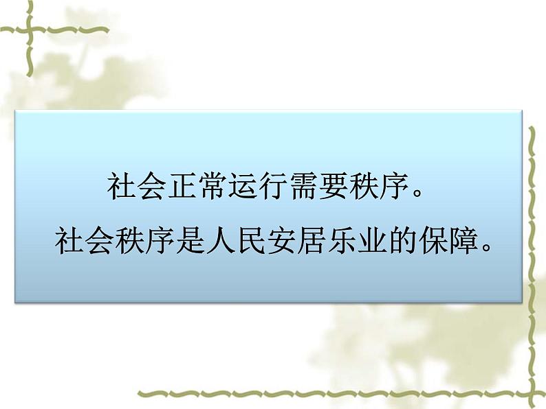 初中道德与法治 人教2011课标版（部编）八年级上册《维护秩序》课件 省优课件第6页