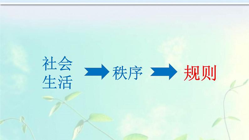 初中道德与法治 人教2011课标版（部编）八年级上册《遵守规则》省优课件第2页