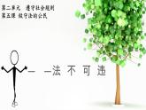 初中道德与法治人教版（部编）八年级上册法不可违部优课件
