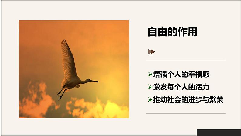 初中道德与法治人教版（部编）八年级下册自由平等的真谛部优课件第6页