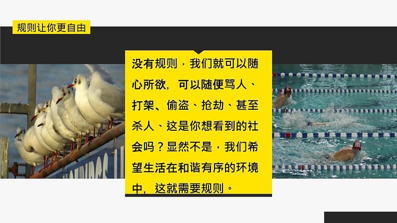 初中道德与法治人教版（部编）八年级下册自由平等的真谛部优课件第8页