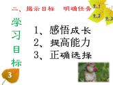 初中道德与法治人教版（部编）九年级下册回望成长部优课件