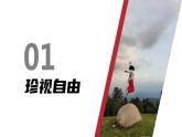 7.2自由平等的追求课件-部编版道德与法治八年级下册