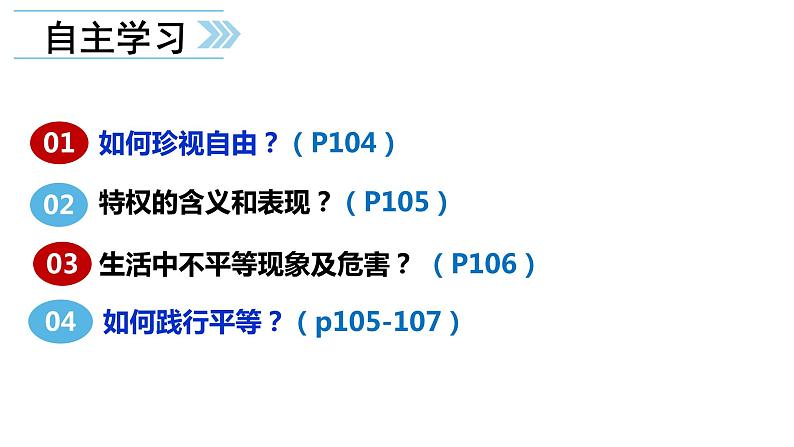 7.2自由平等的追求课件部编版道德与法治八年级下册04