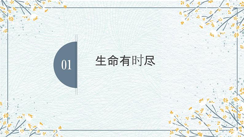 部编版道德与法治七上8.1生命可以永恒吗课件PPT第3页