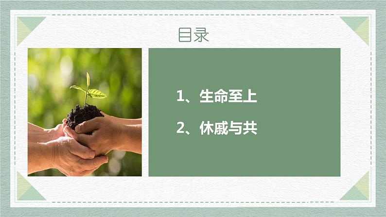 部编版道德与法治七上8.2敬畏生命课件PPT04