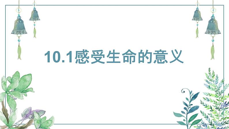 部编版道德与法治七上10.1感受生命的意义课件PPT01