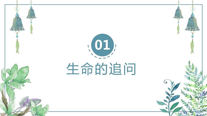 部编版道德与法治七上10.1感受生命的意义课件PPT03