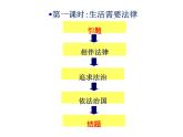 教学设计的宏观架构与微观演绎——人教版道德与法治七年级下《生活需要法律》说课课件PPT
