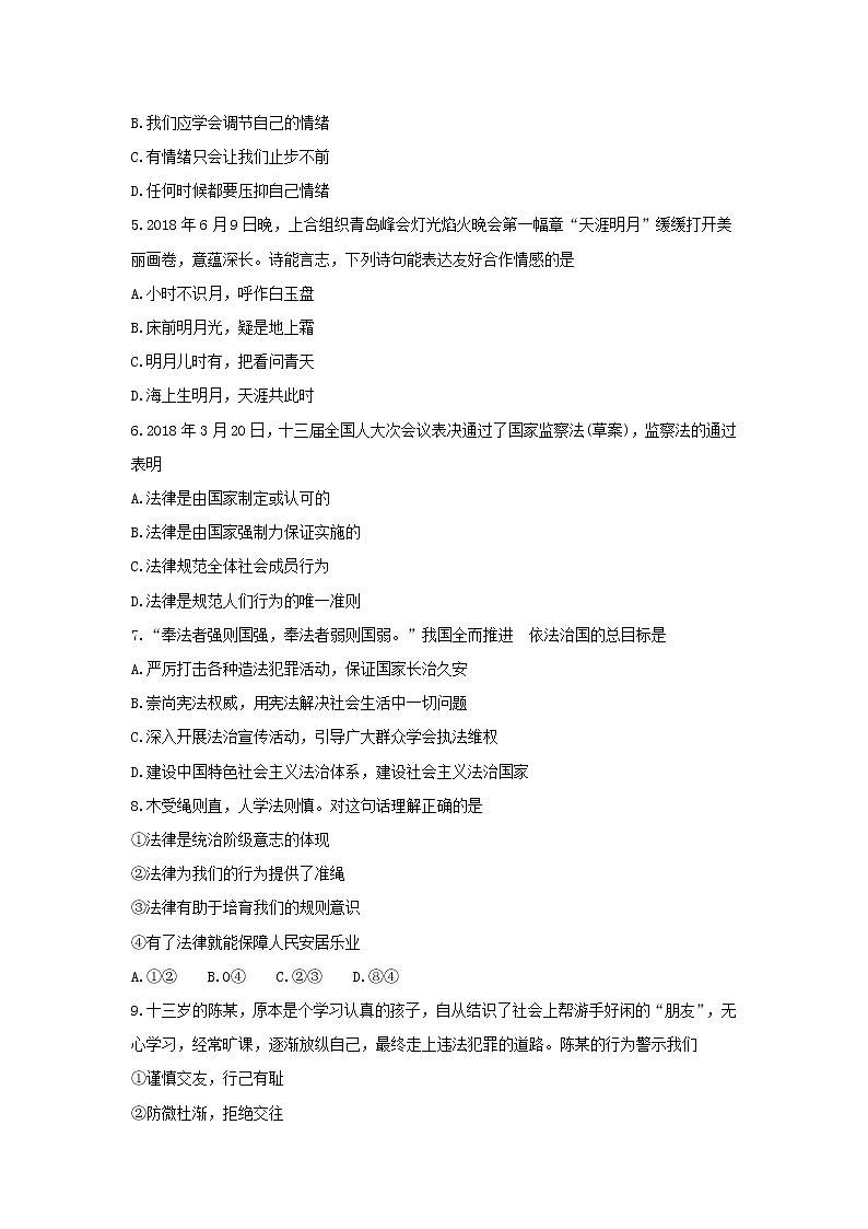 人教版七年级道德与法治下册测试卷带答案02