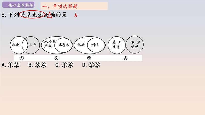 2020~2021学年度徐州市铜山区第二学期期中质量自测八年级道德与法治卷课件PPT第5页