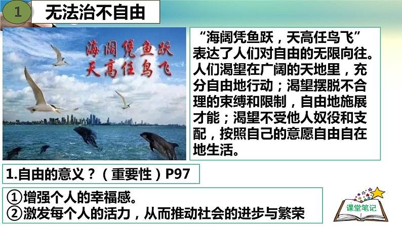 7.1自由平等的真谛-人教部编版八年级下册道德与法治课件(共29张PPT)05