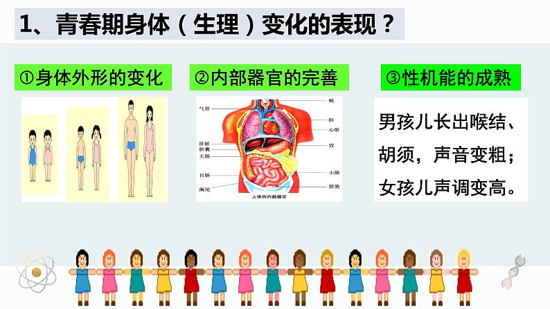 1.1 悄悄变化的我 课件 2021-2022学年部编版道德与法治七年级下册07