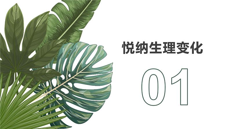 1.1悄悄变化的我课件2021-2022学年部编版道德与法治七年级下册06