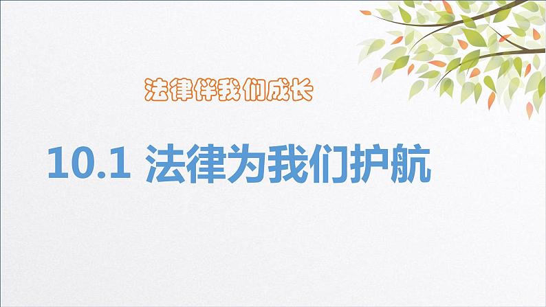 10.1法律为我们护航课件-2021-2022学年部编版七年级道德与法治下册第2页