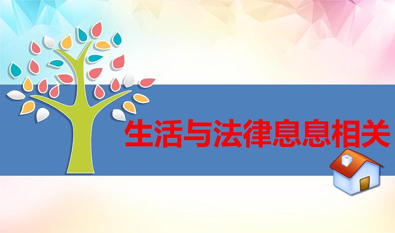 9.1生活需要法律课件2021-2022学年部编版道德与法治七年级下册第4页