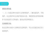 10.1法律为我们护航复习课件2021-2022学年部编版道德与法治七年级下册