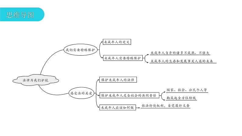 10.1法律为我们护航复习课件2021-2022学年部编版道德与法治七年级下册第4页