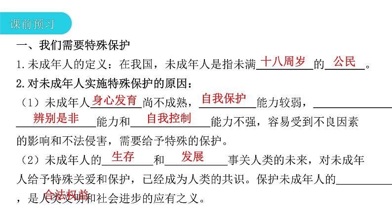 10.1法律为我们护航复习课件2021-2022学年部编版道德与法治七年级下册第5页