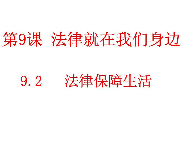 9.2法律保障生活课件2021-2022学年部编版道德与法治七年级下册第2页