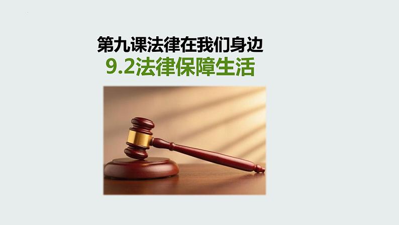 9.2法律保障生活课件2021-2022学年部编版道德与法治七年级下册(6)第1页