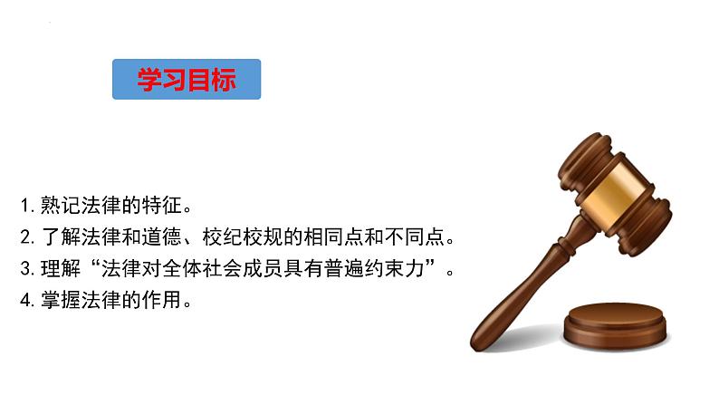 2021-2022学年统编版道德与法治 七年级下册 9.2法律保障生活课件 (2)第2页