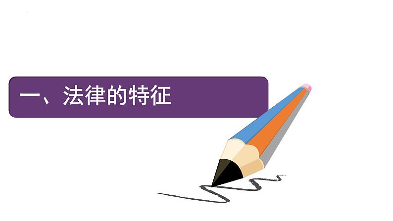 2021-2022学年统编版道德与法治 七年级下册 9.2法律保障生活课件 (2)第4页