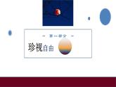 7.2自由平等的追求课件2020-2021学年人教版道德与法治八年级下册