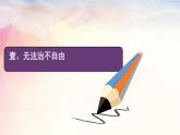 7.1自由平等的真谛课件-2021-2022学年部编版道德与法治八年级下册(2)
