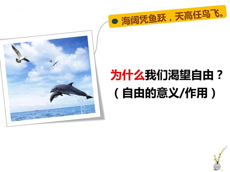 7.1自由平等的真谛课件-2021-2022学年部编版道德与法治八年级下册(1)第5页