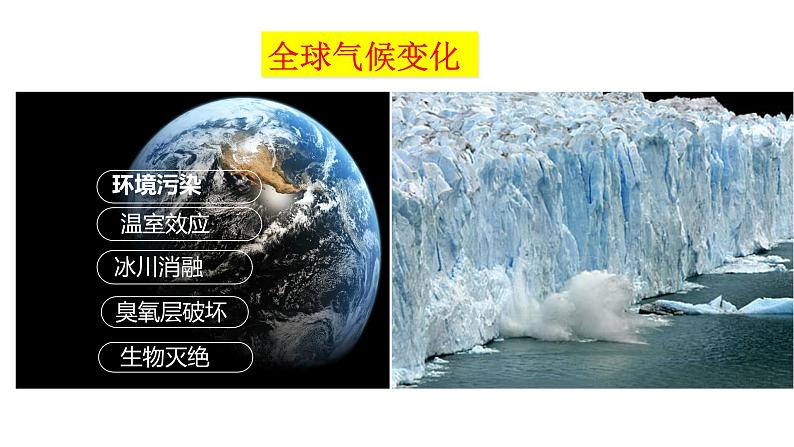 2.2谋求互利共赢课件2021- 2022学年部编版道德与法治九年级下册第8页