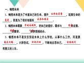 2020-2021学年人教版道德与法治九年级下册习题课件7.2走向未来