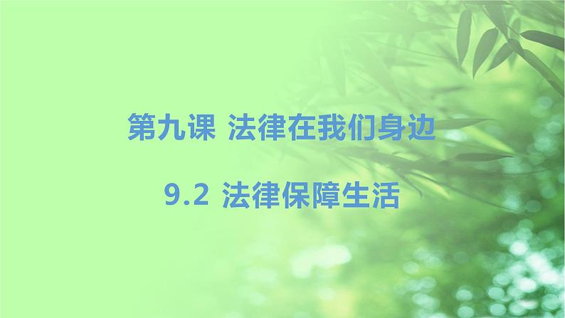 9.2法律保障生活课件01